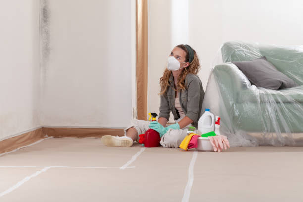 Reliable Mold Inspection contractor in Midland, PA by WQB Mold Removal